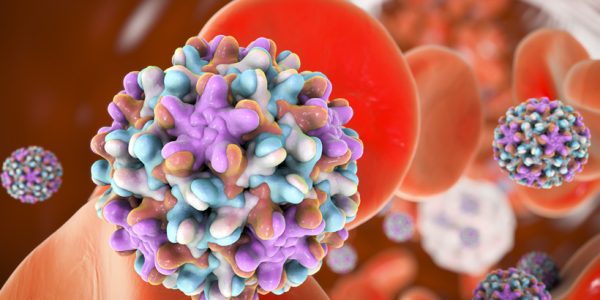hepatitis-virales